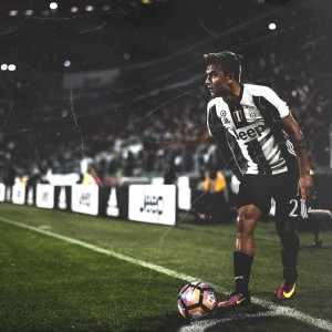 九游官网首页-_杜鹃花海中的瑜伽：与自然相融合_，杜鹃花 户外