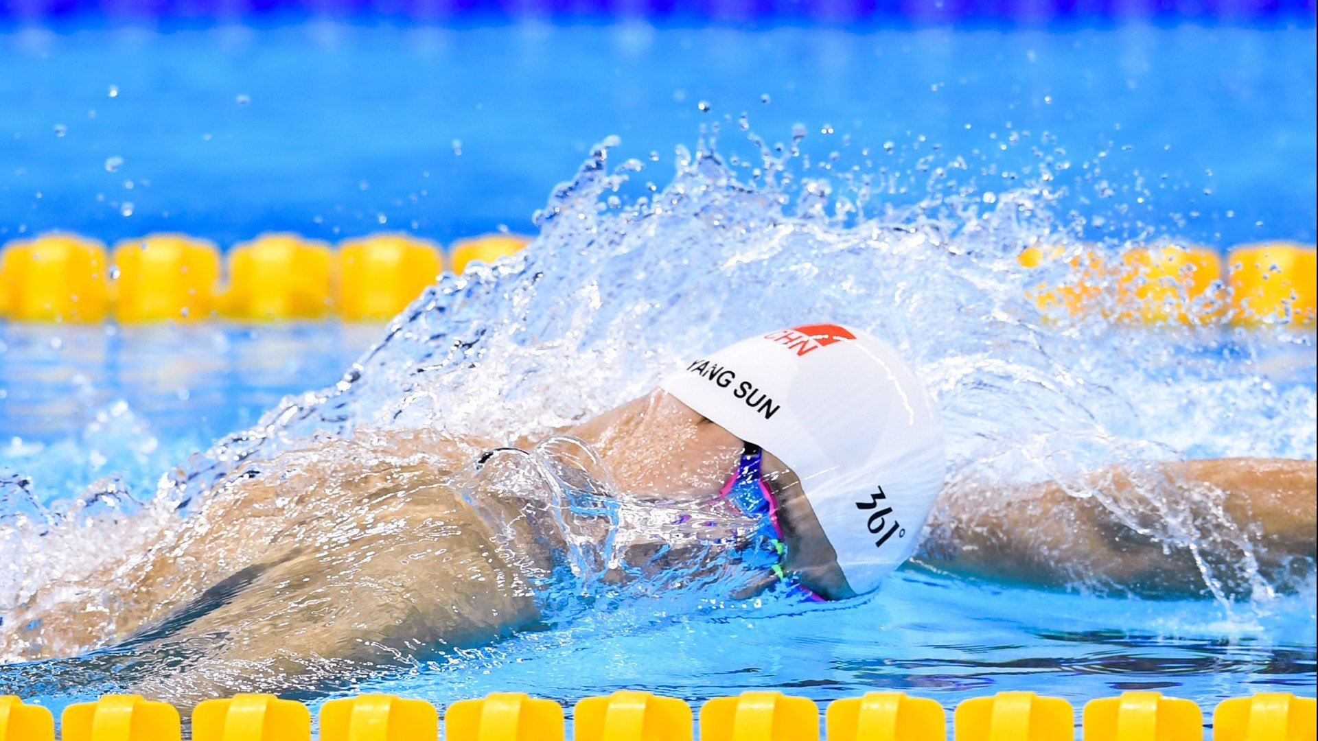 _杜鹃花海中的瑜伽:与自然相融合_,杜鹃花 户外